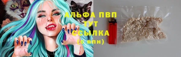 jwh Ростов