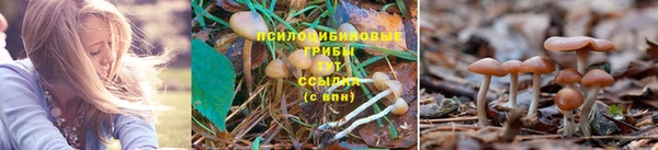 кокаин Россошь