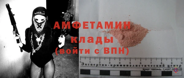 сатива Рославль