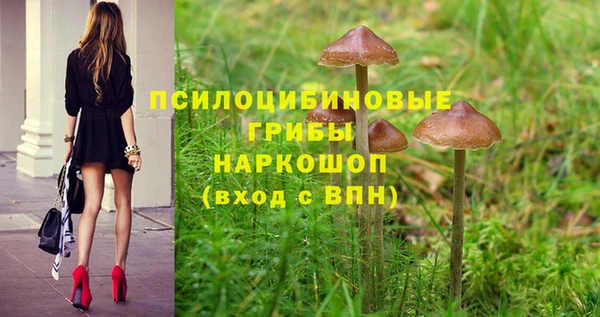 jwh Ростов